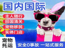 深圳机场货运国际宠物托运 【国